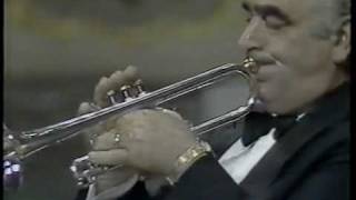 Maurice André Trumpet Concerto in Eb 1st mov J N Hummel [upl. by Adai733]