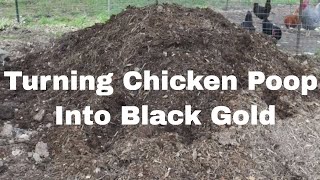 Composting Backyard Poultry Manure [upl. by Bertolde162]