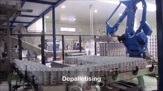 Overveld Packaging Palletising [upl. by Ludovico]