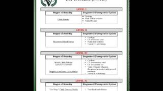 Otitis Externa and Media [upl. by Ameen]