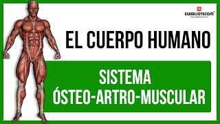 Sistema Ósteoartromuscular 💪 El Bibliotecom 📚 [upl. by Odarnoc908]