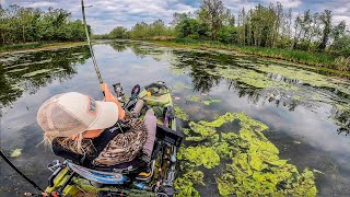 Fishing Lake Dardanelle Backwaters Tourney Recap [upl. by Enaamuj]