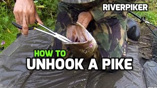 How to unhook a pike  tutorial [upl. by Anelhtac]