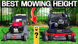 How TALL should you MOW your LAWN Perfect Height [upl. by Nytsirk662]