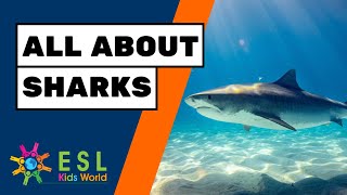 🦈All About Sharks for Children  Facts About Sharks for Kids [upl. by Ahsirek]