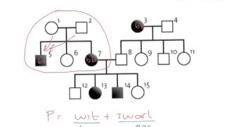 BiologieErfelijkheiddominant of recessief in stambomen [upl. by Douville]