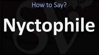 How to Pronounce Nyctophile CORRECTLY [upl. by Hillinck542]