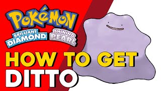 Pokemon Brilliant Diamond amp Shining Pearl How To Get Ditto Pokemon BDSP [upl. by Moia]