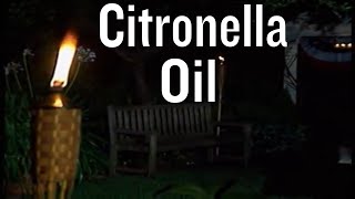 How to Use Citronella Oil [upl. by Namielus42]