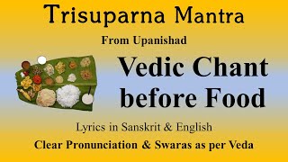 Vedic Chant before food  Trisuparna Mantra  Upanishad  Sri K Suresh [upl. by Ahsiekel]