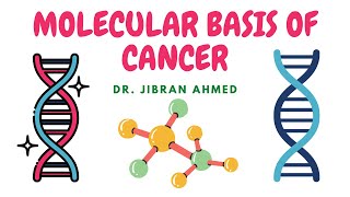 Breast Benign Tumours  Pathology mini tutorial [upl. by Jake190]