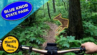 Riding one of Pennsylvanias Best MTB Downhill flow Trails  2020 [upl. by Coffee]