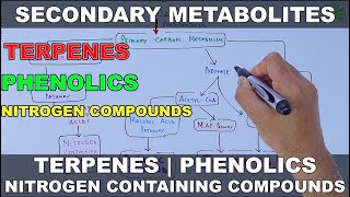 Secondary Metabolites [upl. by Suzanna]