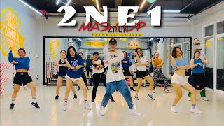 2NE1 MASH UP  ZUMBA  DANCE FITNESS  ZFUN [upl. by Ayidan265]