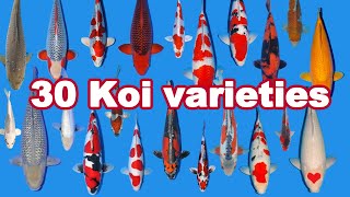 30 Koi Fish varieties types and characteristics [upl. by Gati982]