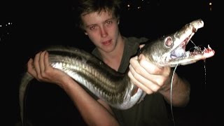 EP 2  MONSTER EEL FISHING  Catch n Cook  Using Freshly Caught MULLET  TDK [upl. by Nodlew]