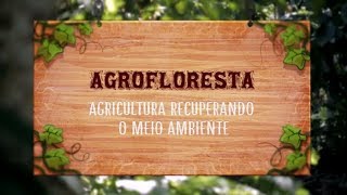 Agrofloresta  agricultura recuperando o meio ambiente 2019 [upl. by Stronski]