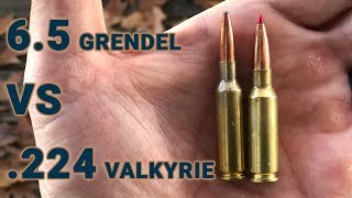 Ammo showdown 65 Grendel vs 224 Valkyrie [upl. by Chew]