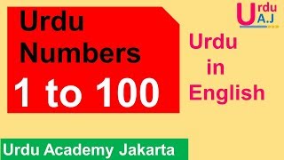 Learn Urdu Numbers 1100 [upl. by Nwahsear645]