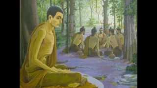 dhamma chakka pavattana sutta [upl. by Canute]