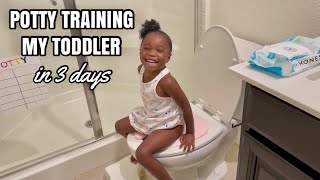 HOW TO POTTY TRAIN A 2 YEAR OLD  RAW amp REALISTIC [upl. by Maren]