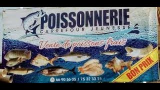 POISSONNERIE  Ce quil faut savoir dans ce Business [upl. by Tiny]