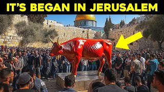 Jerusalem Prepares For Jesus To Return [upl. by Sucerdor]