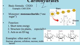 Macromolecules [upl. by Lafleur617]