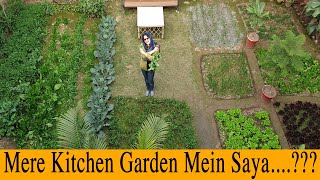 Sahibas Kitchen Garden  Vlog  16022022 [upl. by Kulsrud998]