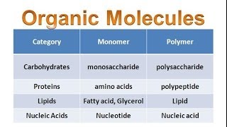 Organic Molecules amp Carbohydrates honors biology updated [upl. by Alahsal]