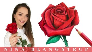 How to Draw a Realistic Rose  Step by Step Tutorial for Beginners [upl. by Elleinaj]