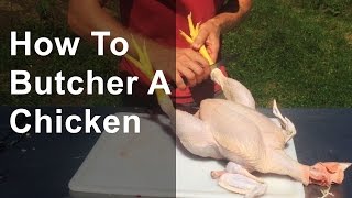 How to Butcher a Chicken Step by Step [upl. by Merla]