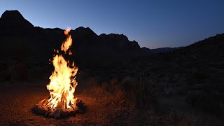 4K Campfire in Desert With Cricket Night Sounds [upl. by Nimoynib]