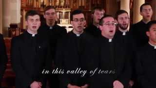 Salve Regina English Translation [upl. by Naiviv]