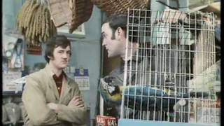 Monty Python The Parrot Sketch amp The Lumberjack Song movie versions HQ [upl. by Sommers]