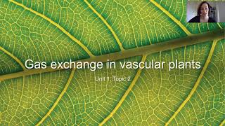 Gas exchange in vascular plants [upl. by Chilcote]