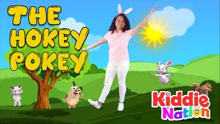 The Hokey Pokey action song with lyrics [upl. by Bianca]