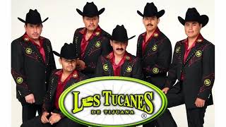 Los Tucanes De Tijuana  Puros Corridos Pesados Mix 2021 [upl. by Pen]