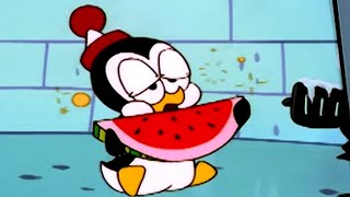 Chilly Willy en Español 🐧Perro frio  Capitulos completos🐧Dibujos Animados [upl. by Dryden253]