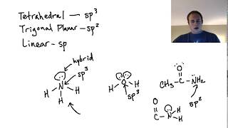 Are Lone Pairs in Hybrid Orbitals sp2 confusion [upl. by Dauf]