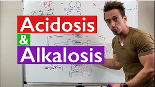 Acidosis and Alkalosis MADE EASY [upl. by Calica]