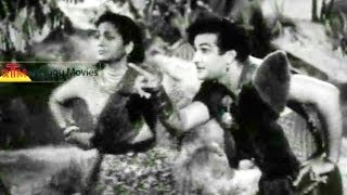 Bhale Rangadu Movie Songs  Pagati kalalu Song [upl. by Vanya501]