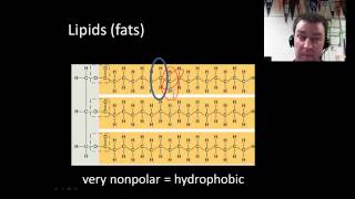 Macromolecules introduction [upl. by Assened99]