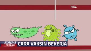 Beginilah Cara Kerja Vaksin [upl. by Destinee681]