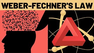 Weber Fechners Law Explained [upl. by Neiviv216]