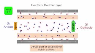 Capillary Electrophoresis [upl. by Hillinck442]