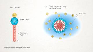 How does Soap Work [upl. by Acimak]