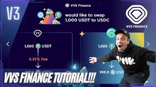 VVS Finance Tutorial  How to Use VVS Finance V3 [upl. by Kieffer]