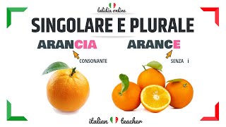 Il nome  singolare e plurale  1° parte [upl. by Neibart]