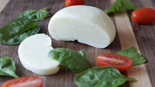 How to Make Homemade Mozzarella Cheese from Milk Powder [upl. by Bannister931]